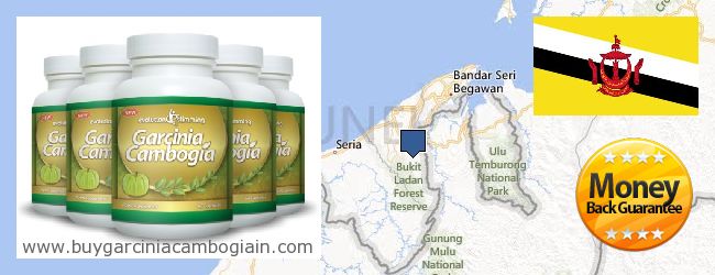 Πού να αγοράσετε Garcinia Cambogia Extract σε απευθείας σύνδεση Brunei